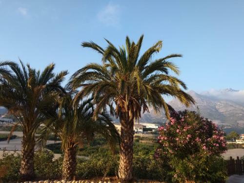 Camping Fonts Del Algar