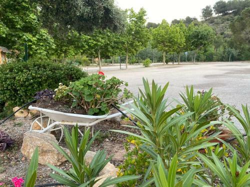 Camping Fonts Del Algar