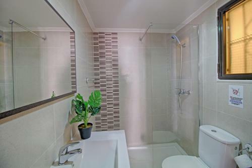 Apartamento Caribe Playa