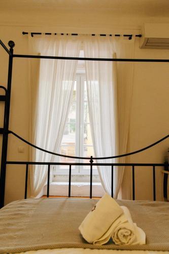 Grapes & Bites - Hostel And Wines