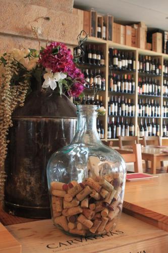 Grapes & Bites - Hostel And Wines
