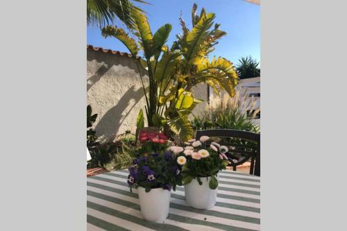 Apartamento Casa Sobre El Mar, A Beautiful Oasis 1000m From Beach