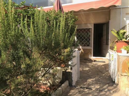 Apartamento Edificio M� Paz En 1� Linea De Mar - 134a