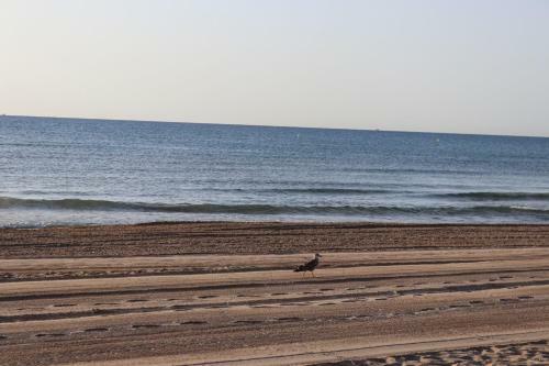 Apartamento Myflats Premium Beachside