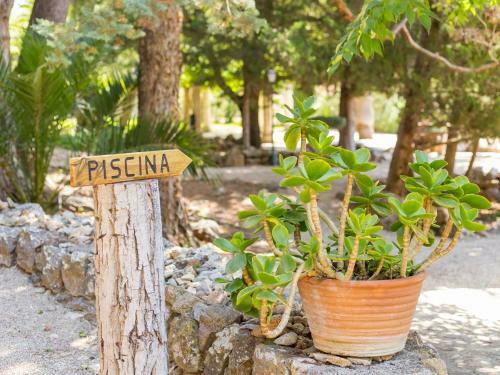 Apartamento Casita Bosque