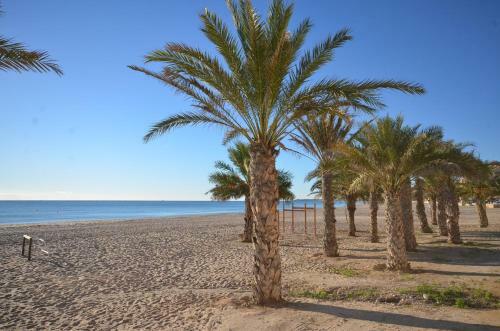Apartamento Jardines Del Mar Ref 180