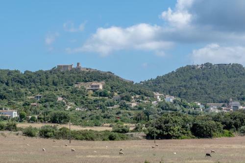 Villa Sa Sinia