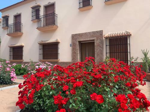 Apartamento Habitaciones Rurales Venta Pedro