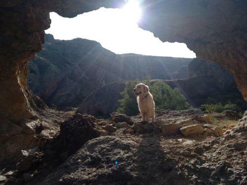 El Nido Del Mirlo