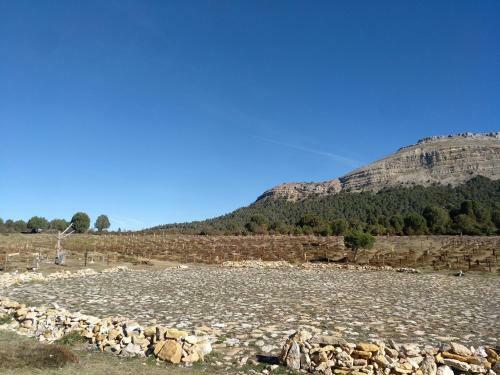El Nido Del Mirlo