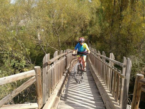 El Nido Del Mirlo
