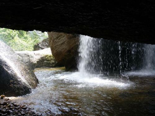 El Nido Del Mirlo