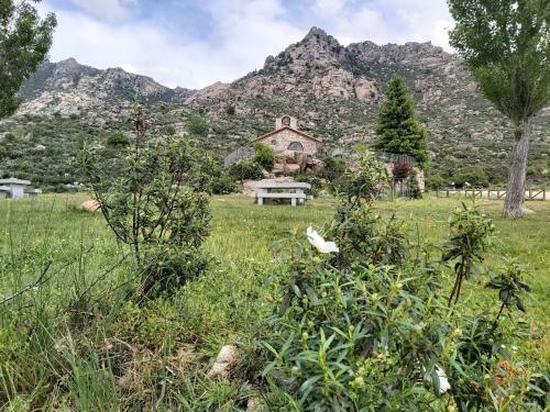 Acero Y Piedra Apartamentos Con Jard�n