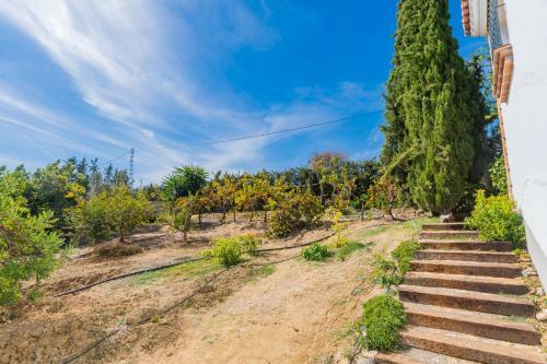 Cubo's Casa Los Sue�os