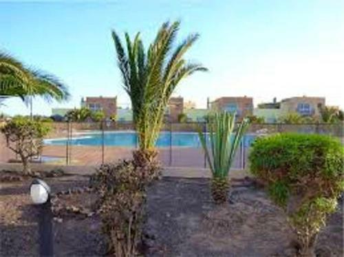 Apartment With 2 Bedrooms In Corralejo With Wifi