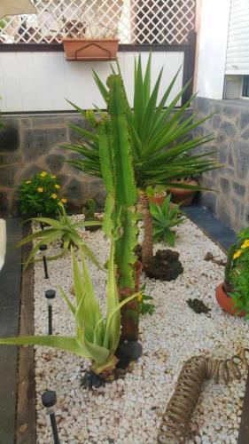 Apartment With 2 Bedrooms In Corralejo With Wifi