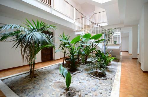 Apartamento Jardins Del Mar 11