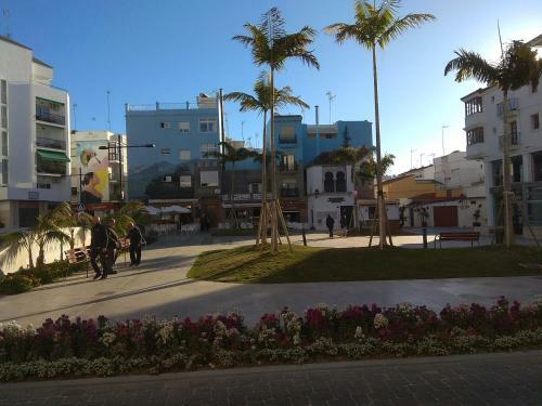 Apartamento Jacaranda