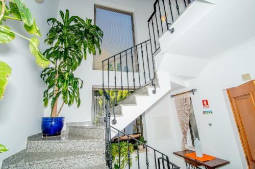 Casa Dos Pinheiros