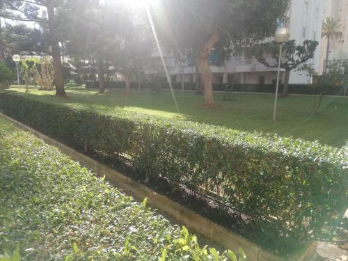 Apartamento Parque IV