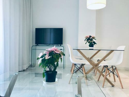 Domus Apartamentos Granada Con Parking Gratuito En Pleno Centro