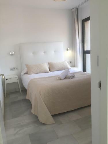 Domus Apartamentos Granada Con Parking Gratuito En Pleno Centro