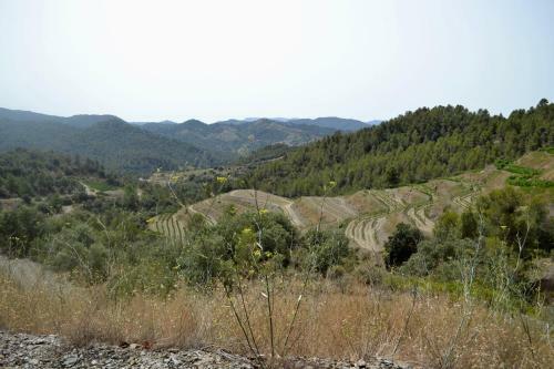 Bed & Breakfast Cal Campana