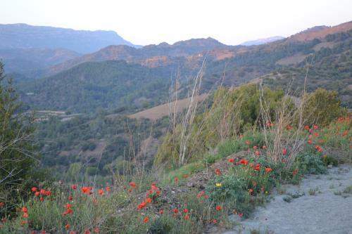 Bed & Breakfast Cal Campana