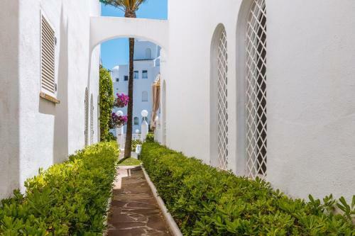 Apartamento Oasis Club