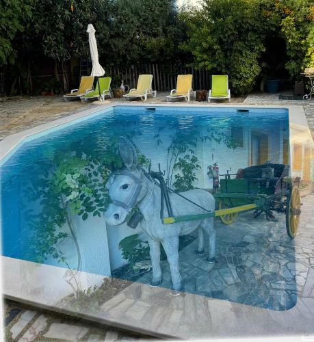 Apartamento Ria Studios