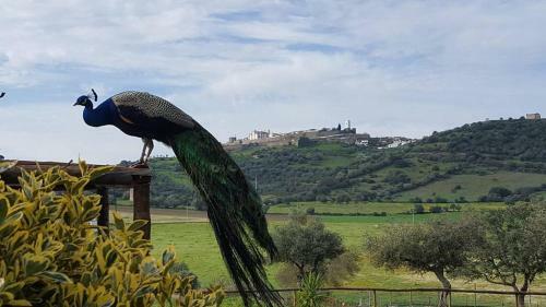 Bed & Breakfast Monte Santa Catarina