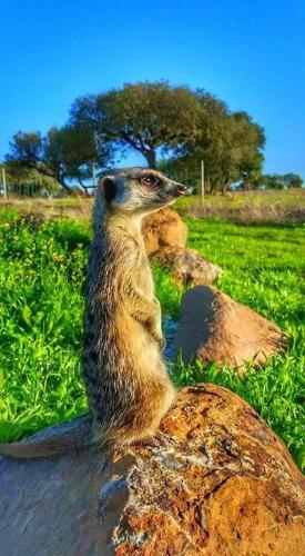Bed & Breakfast Monte Santa Catarina