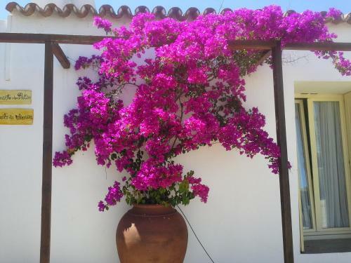 Hostal Horta Da Coutada