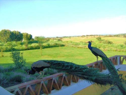 Naveterra-hotel Rural
