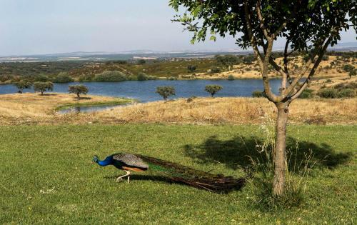Naveterra-hotel Rural