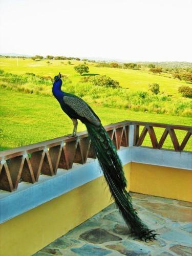 Naveterra-hotel Rural