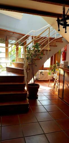 Hotel Los Arenales de Jerte