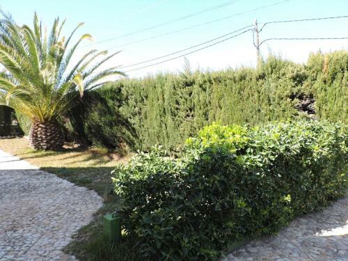 Villa Doree 516