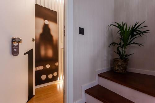 Apartamentos Franja 55