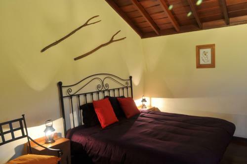 Villa Casa Chamiquela