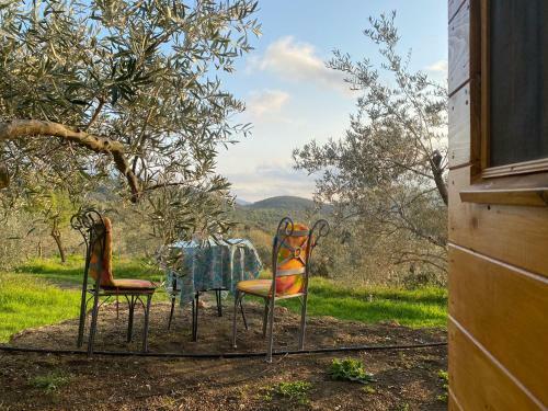 Armonia Alpujarra Eco Accommodation