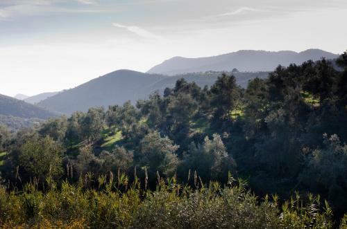 Armonia Alpujarra Eco Accommodation