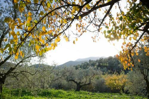 Armonia Alpujarra Eco Accommodation