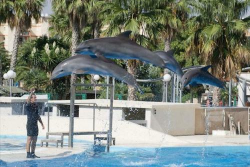 Apartamento Tecavi Planet Costa Dorada