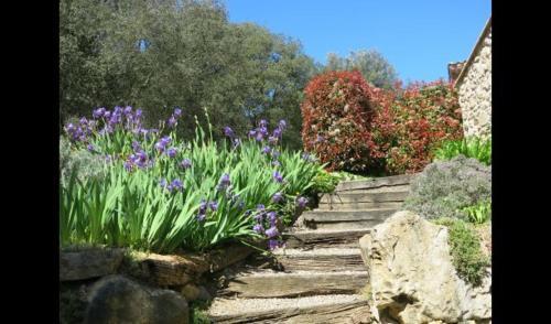 Les Planes D'hostoles Villa Sleeps 19 With Pool