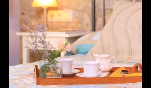 Les Planes D'hostoles Villa Sleeps 19 With Pool