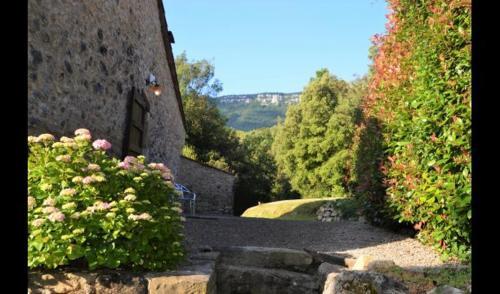 Les Planes D'hostoles Villa Sleeps 19 With Pool