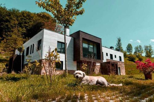 Apartamento Bergartxe Geltokia