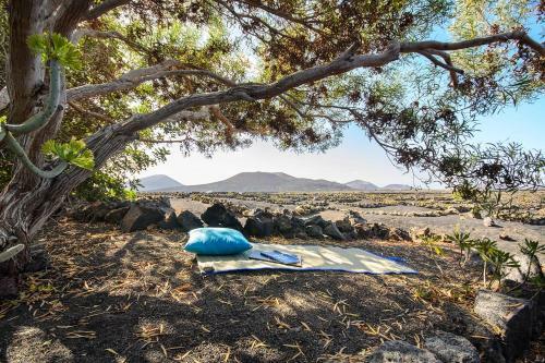 Apartamento Yurta Tisalaya Entre Volcanes