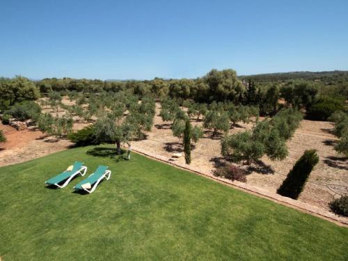 Villa Ses Moreres